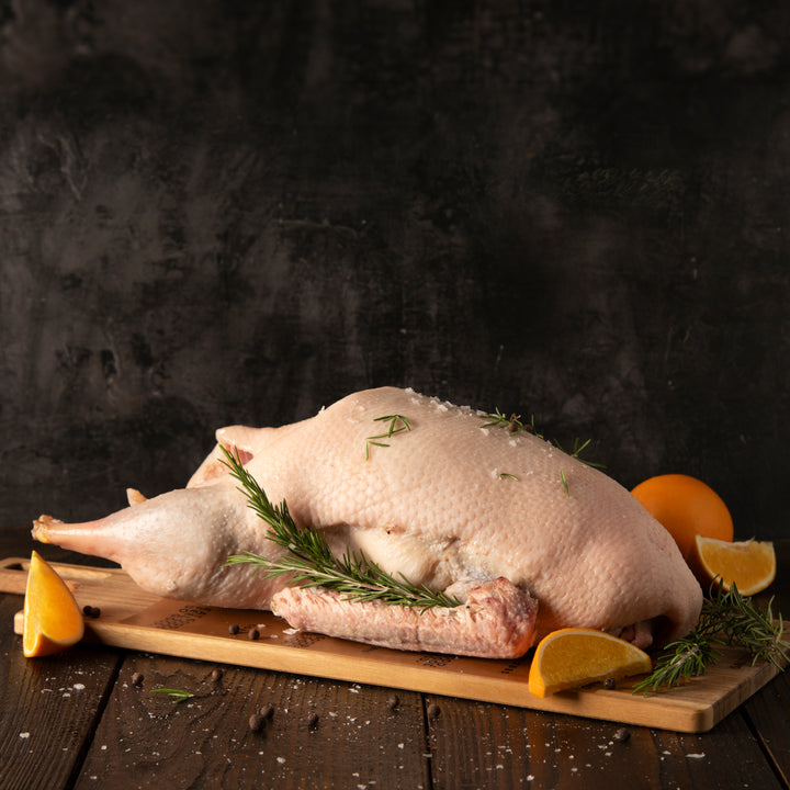 Free Range Goose